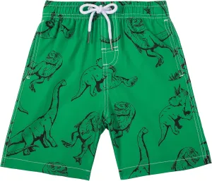 Boys Swim Trunks Boys Quick Dry Shorts Fashion Summer Beach Shorts