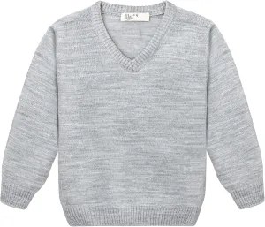 Lilax Toddler and Little Boys Sweater, V-Neck Knit Cardigan Sweater