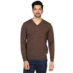 Men Brown Solid Merino Wool Full Sleeve V Neck Collar Sweaters