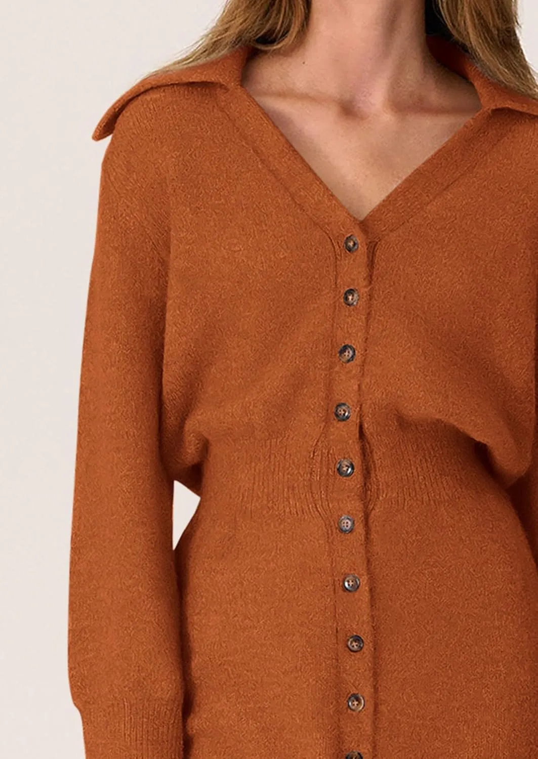 PRETTYGARDEN Sweater Dresses for Women 2025 Trendy Long Sleeve Button Down Short Spring Dress